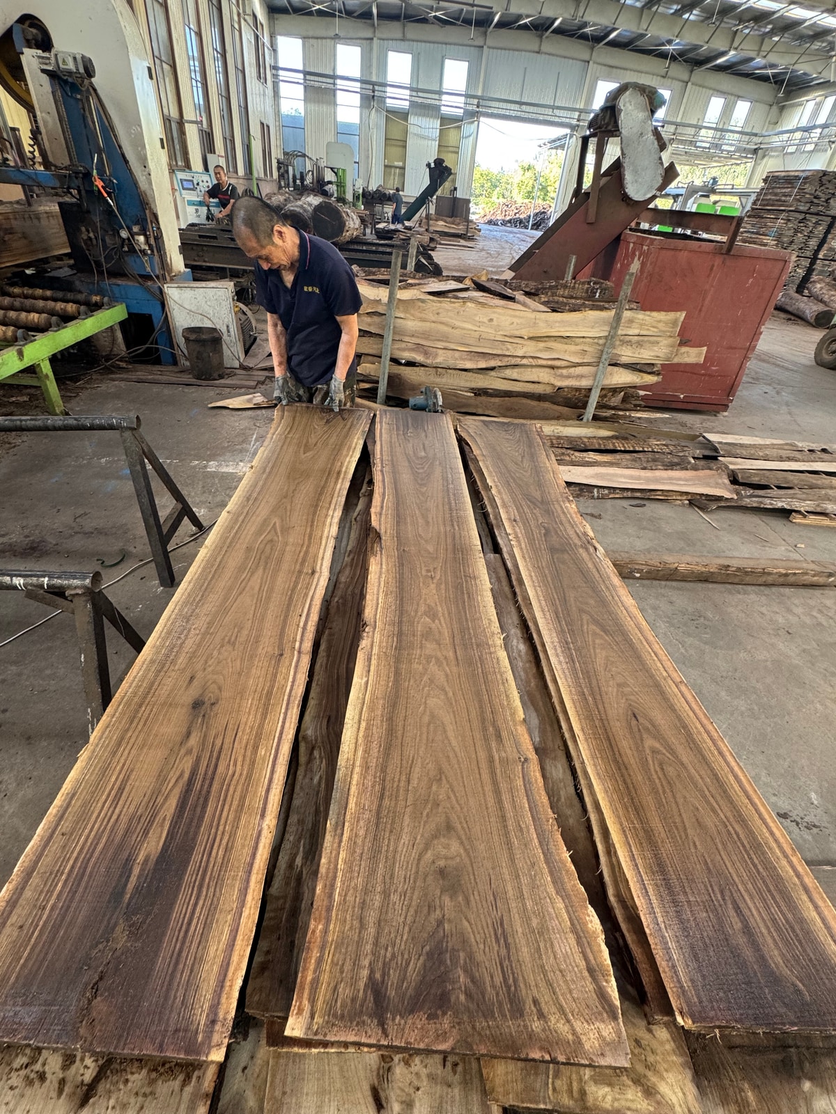 Black Walnut Logs — Fresh Cut — 2