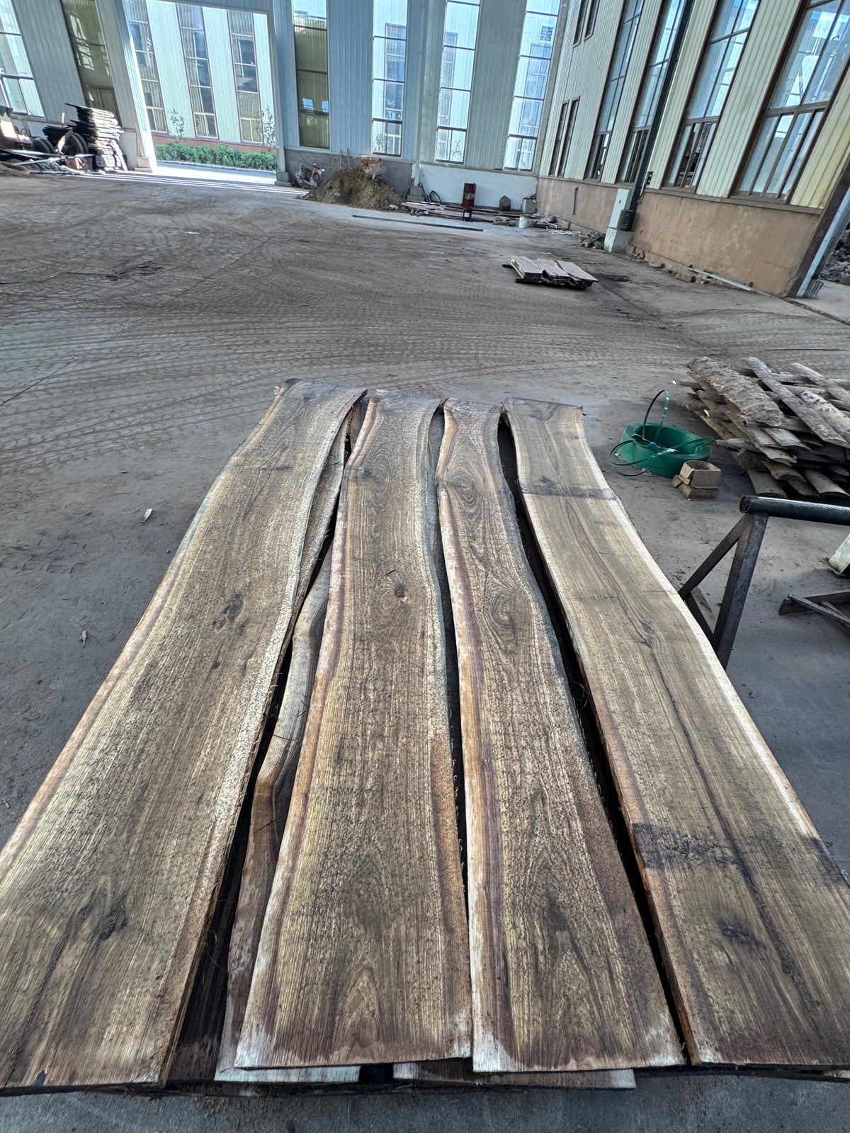 Black Walnut Logs — Fresh Cut — 3