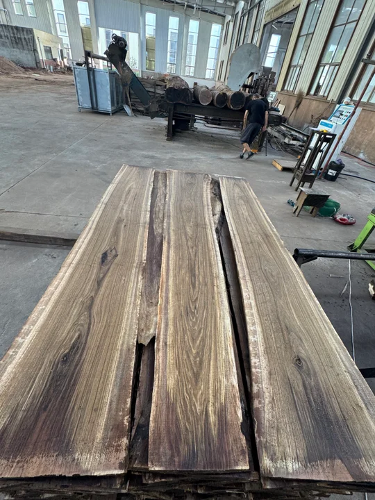 Black Walnut Logs — Fresh Cut — 4