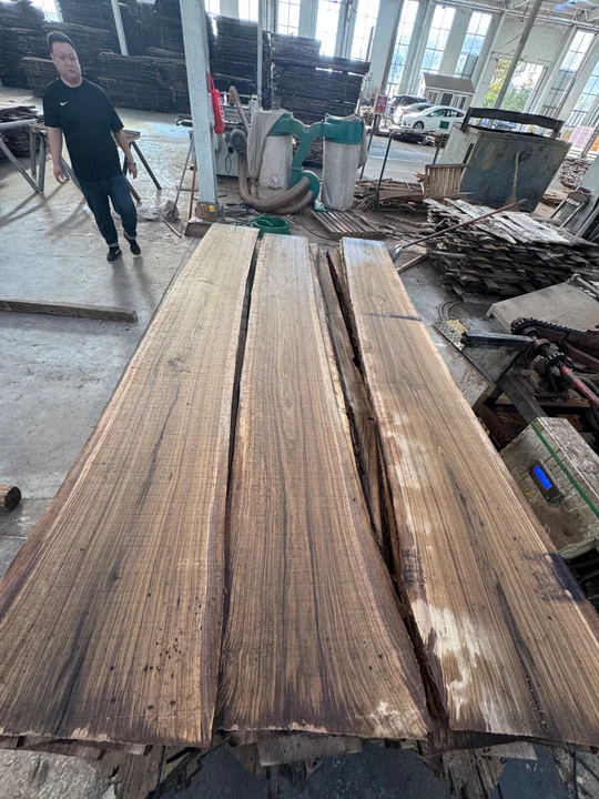 Black Walnut Logs — Fresh Cut — 6