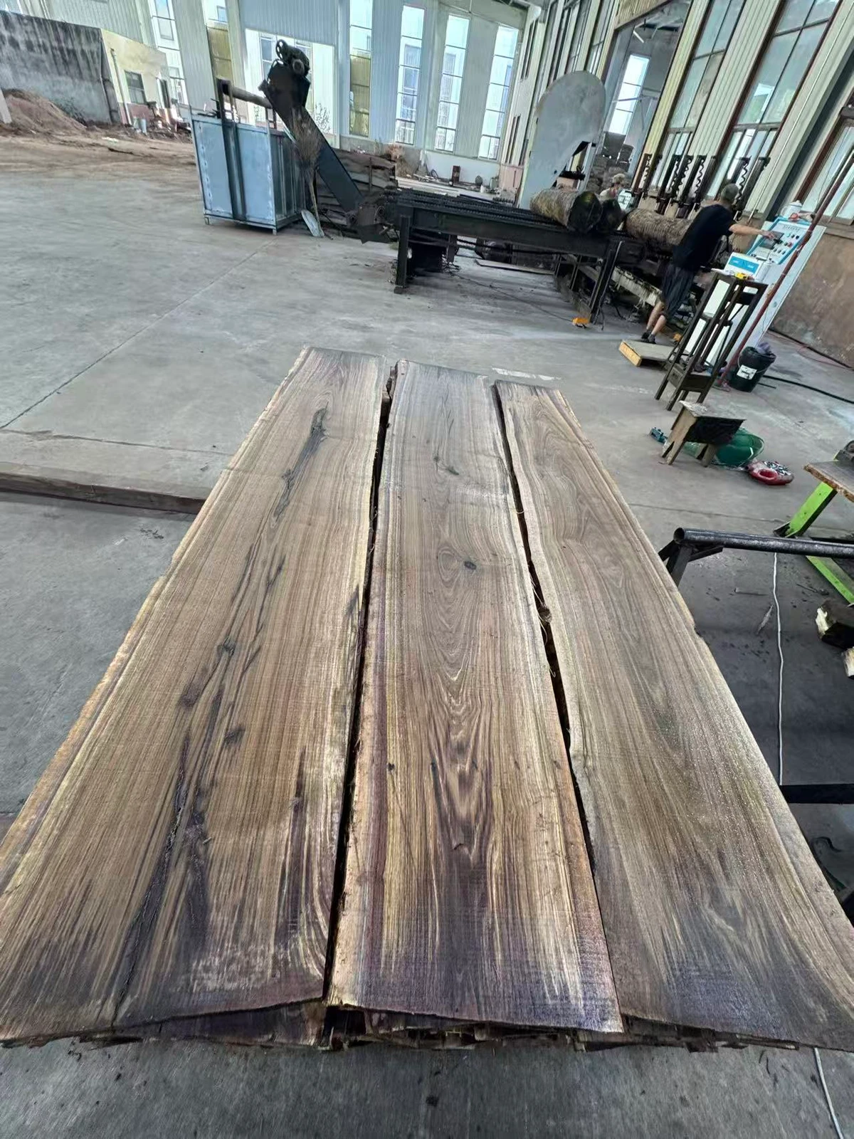 Black Walnut Logs — Fresh Cut