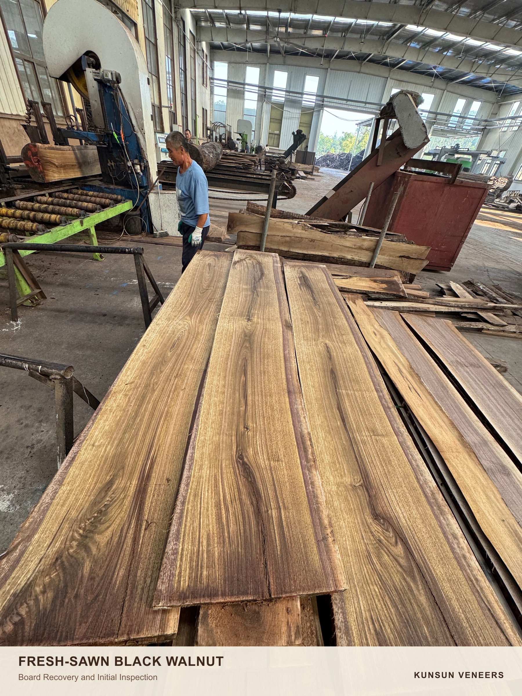 Fresh-sawn black walnut boards at the mill before drying and final edging.