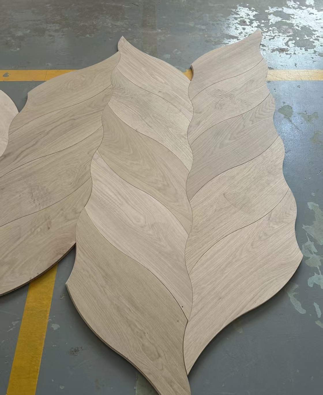 Light-toned leaf-shaped veneer pieces on a workshop floor, showing natural grain and curved joints.