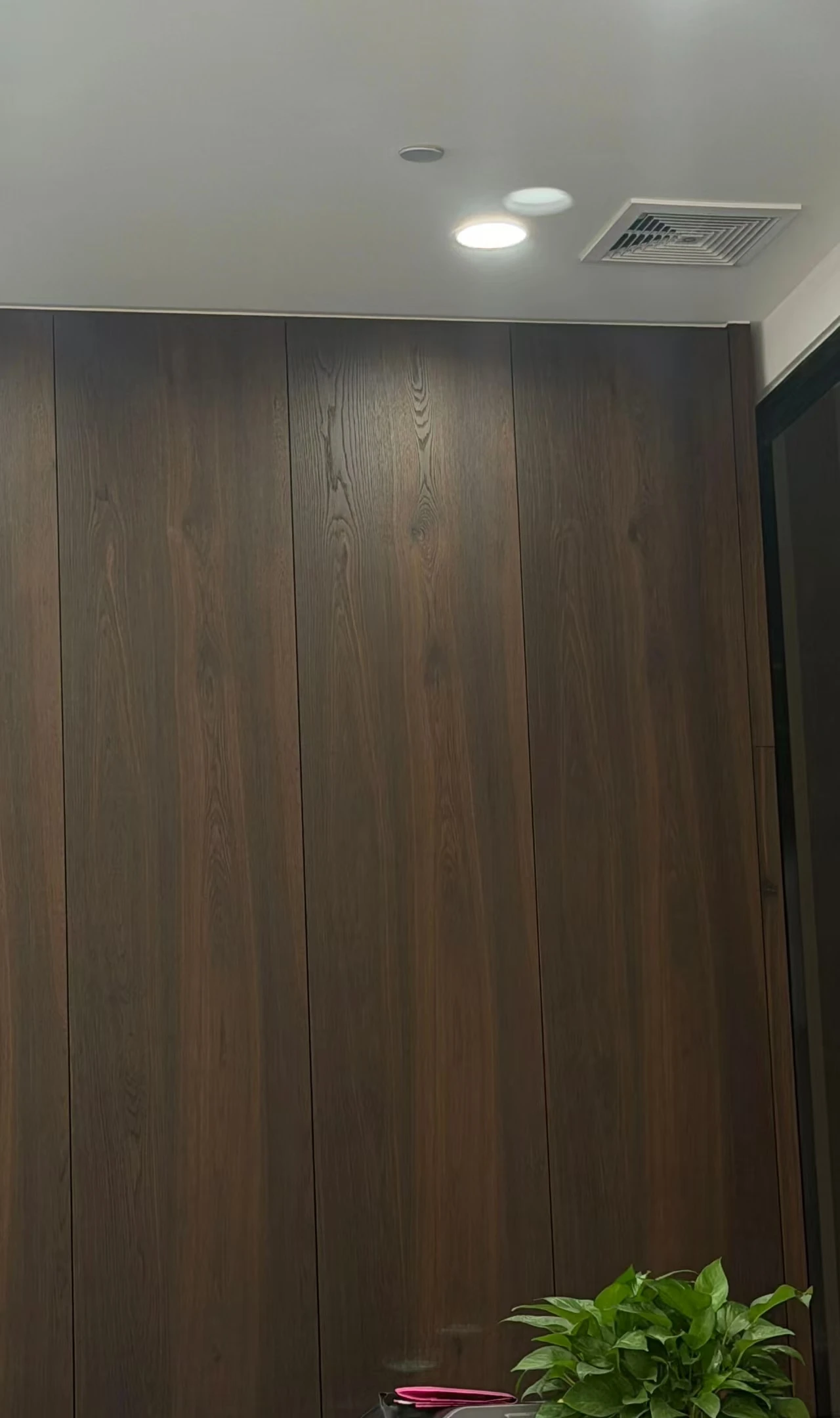 Cabinet application reference with dark wood surfaces, plants and a light interior.