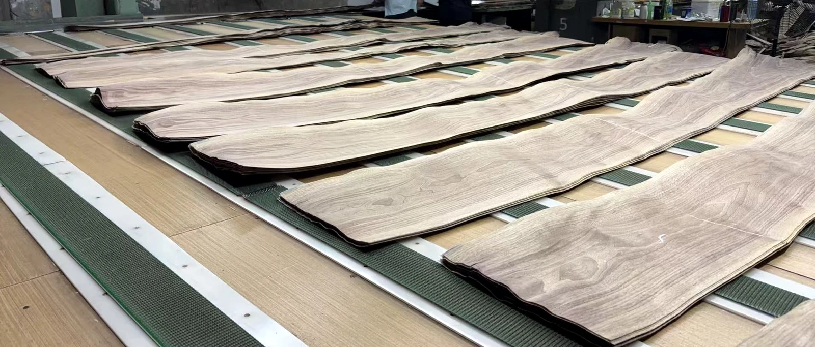 Veneer leaves laid out on a production table, showing crown grain and natural edges.