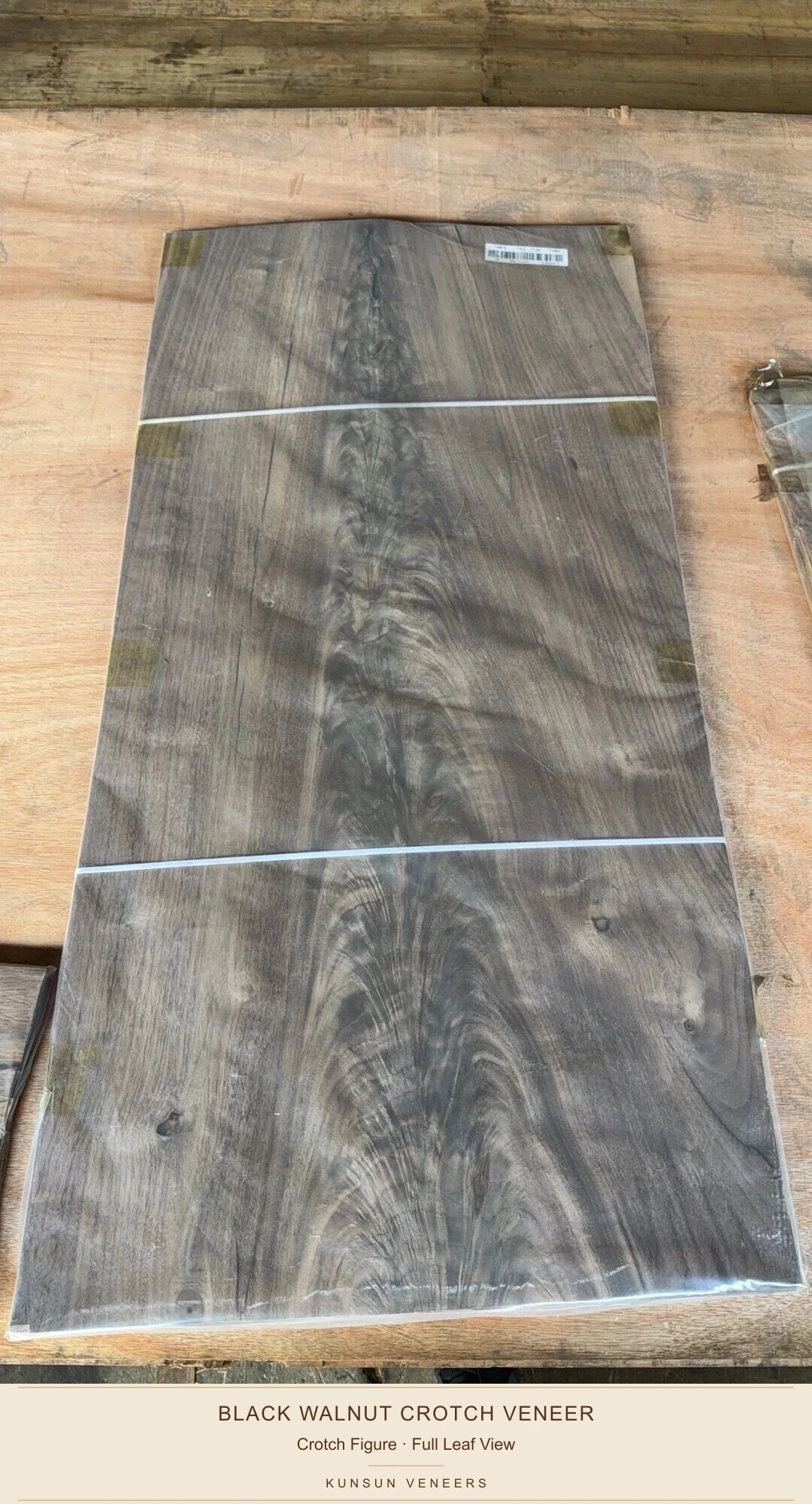 A full wrapped leaf of black walnut crotch veneer with a central feather-like figure and natural knots.