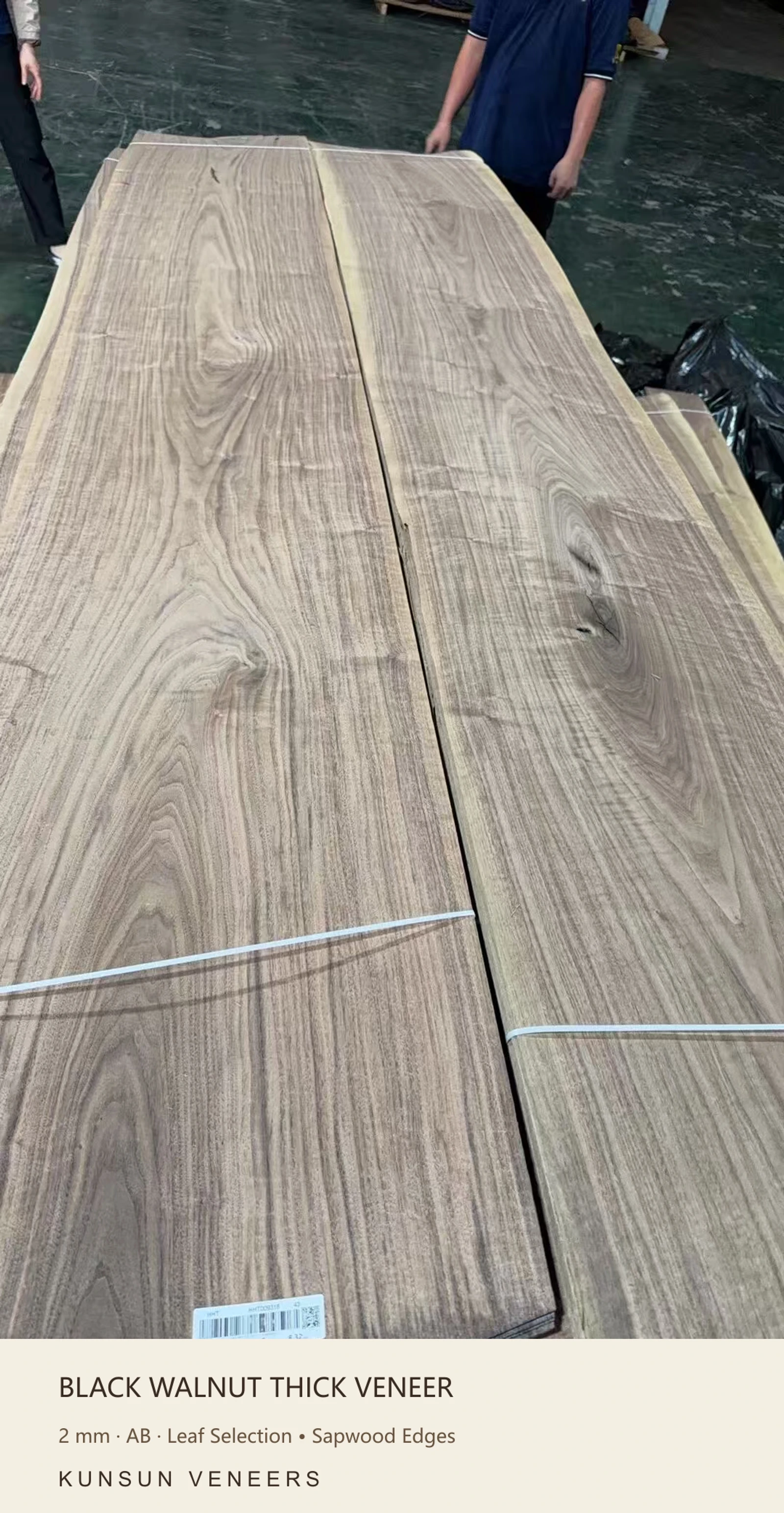 AB grade 2 mm black walnut thick veneer: Leaf Selection • Sapwood Edges