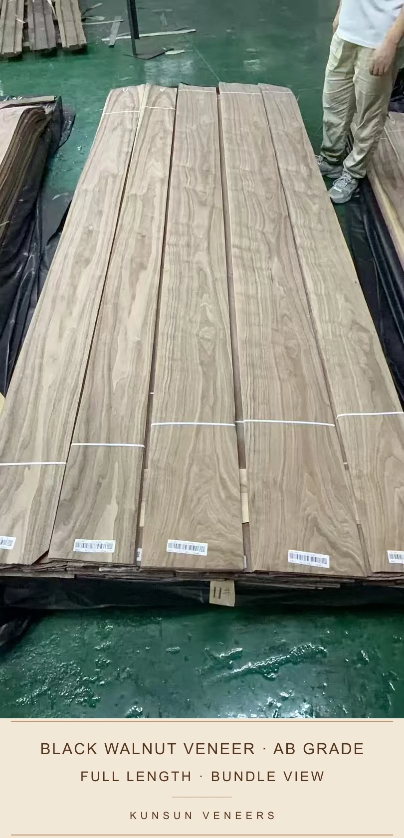 Full-length black walnut veneer selection showing grain flow and bundle condition.