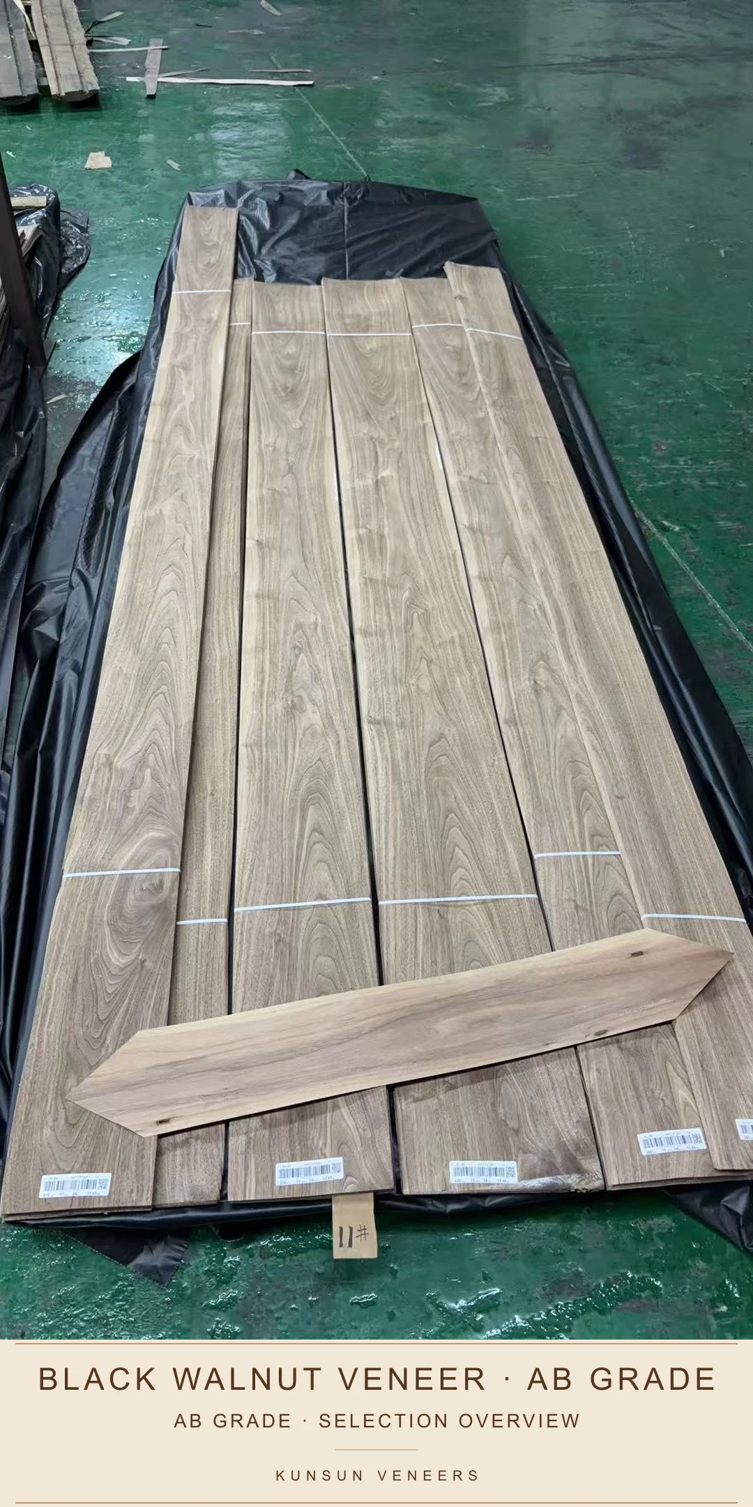 Selection overview of loose AB grade black walnut veneer leaves.