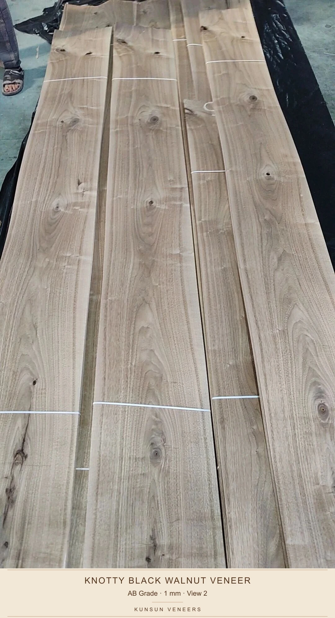 View 2 of actual AB black walnut thick veneer bundles, showing natural knots, openings and grain variation.