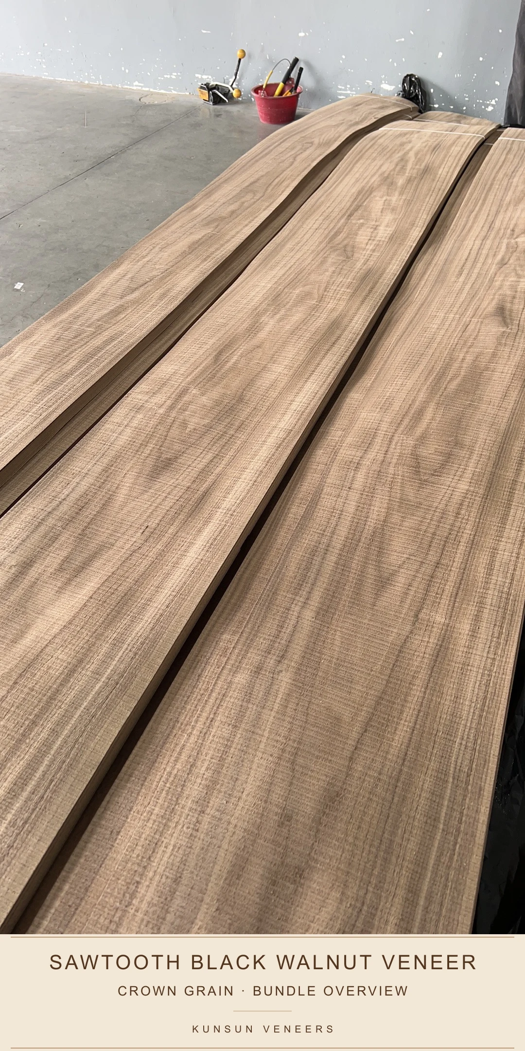 Bundle overview of A grade sawtooth black walnut veneer showing crown grain and natural tone variation.