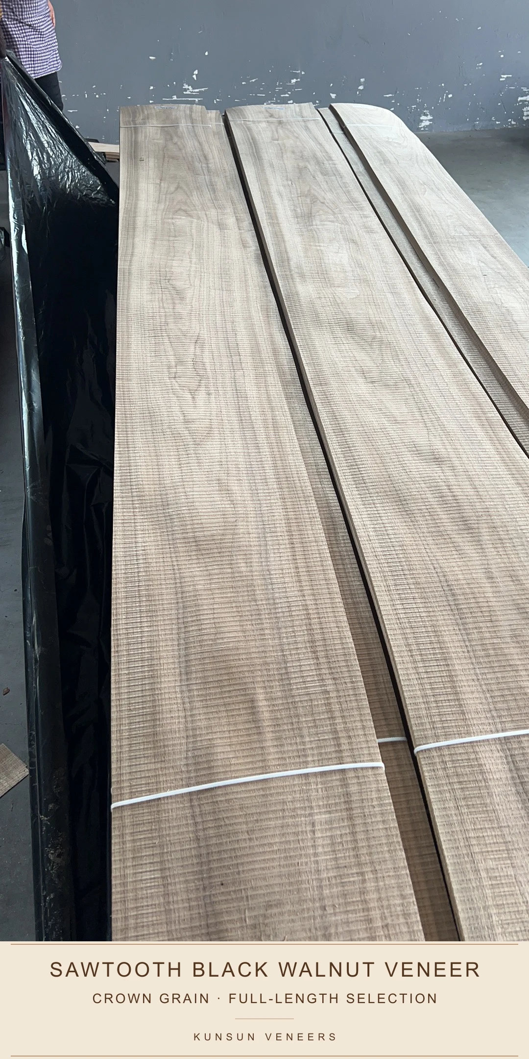 Full-length sawtooth black walnut veneer selection showing crown-grain movement across the leaves.