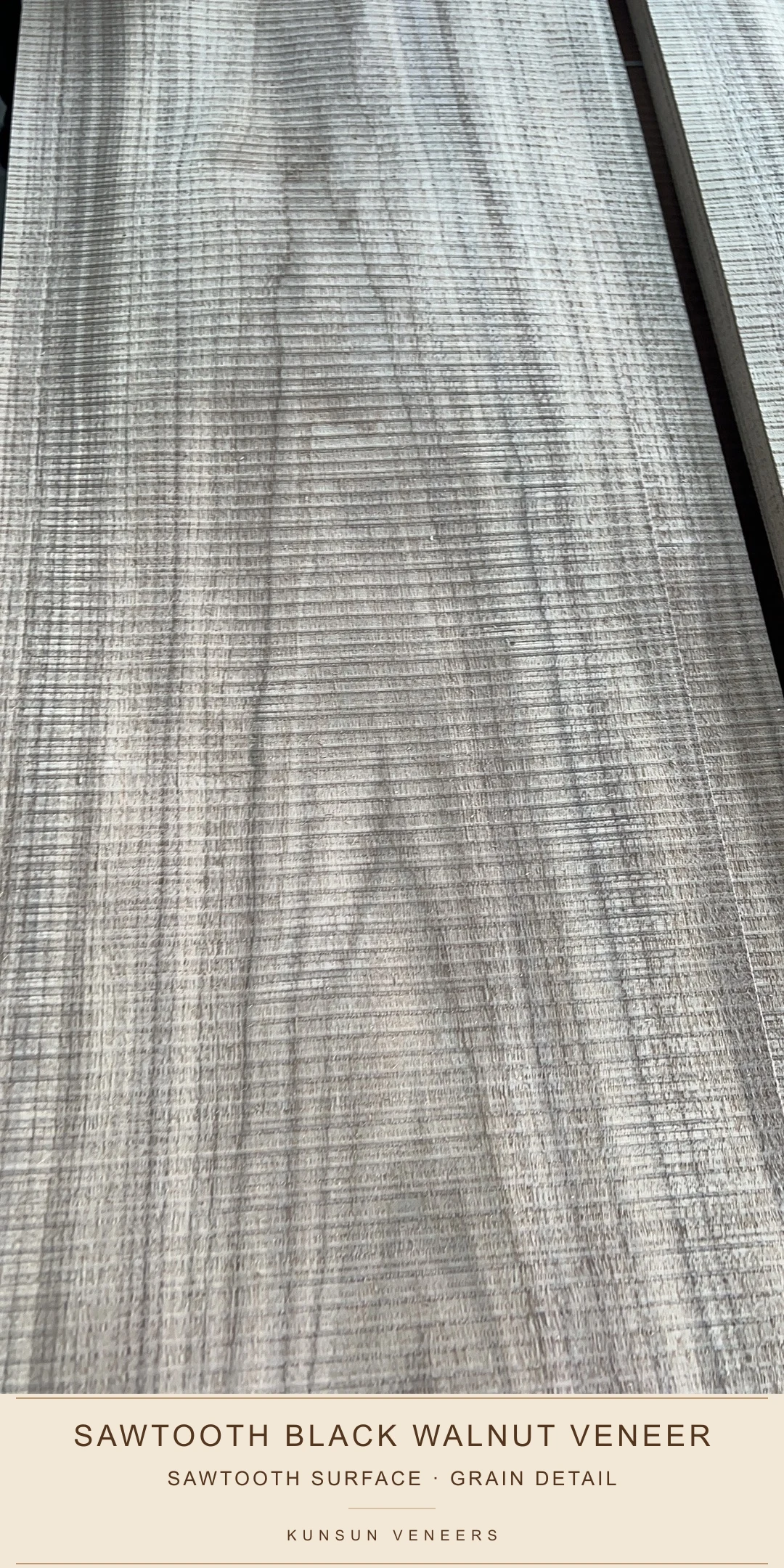 Close surface view showing the distinctive sawtooth texture over black walnut crown grain.
