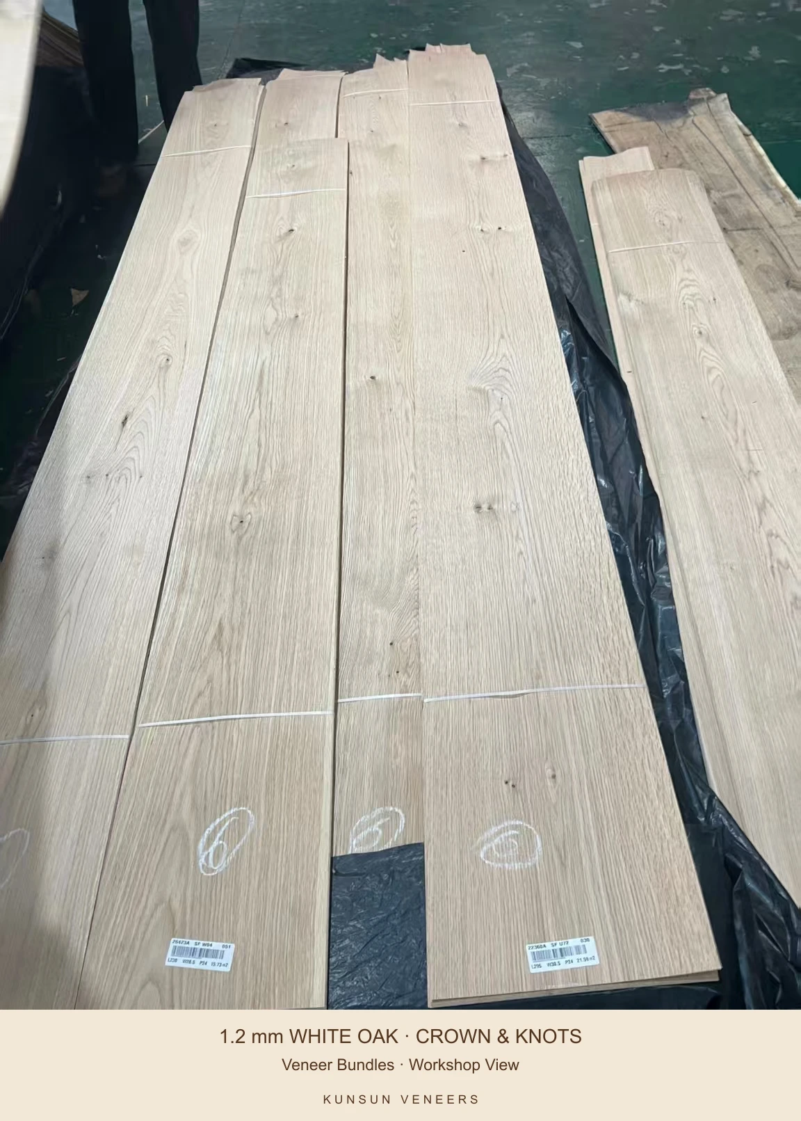 Workshop view of white oak veneer bundles with pale colour and varied crown-grain patterns.