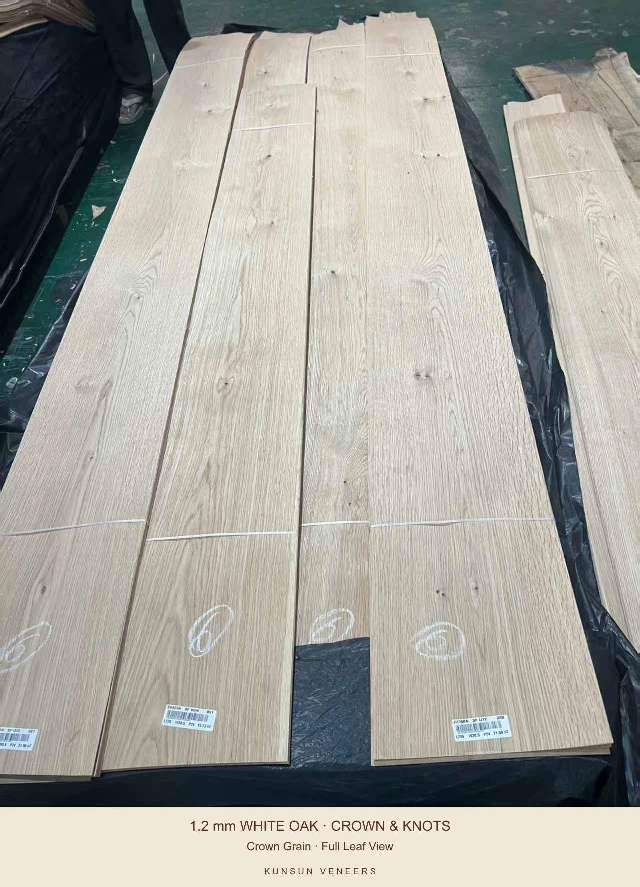 White oak veneer leaves showing crown grain, small natural knots and original bundle straps.