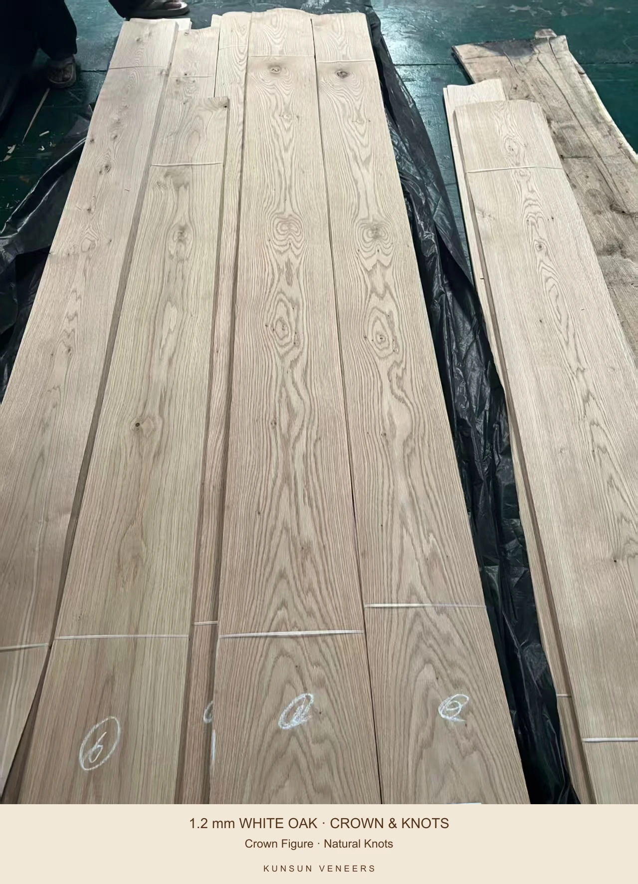 White oak veneer with pronounced cathedral grain and visible natural knots across adjacent leaves.